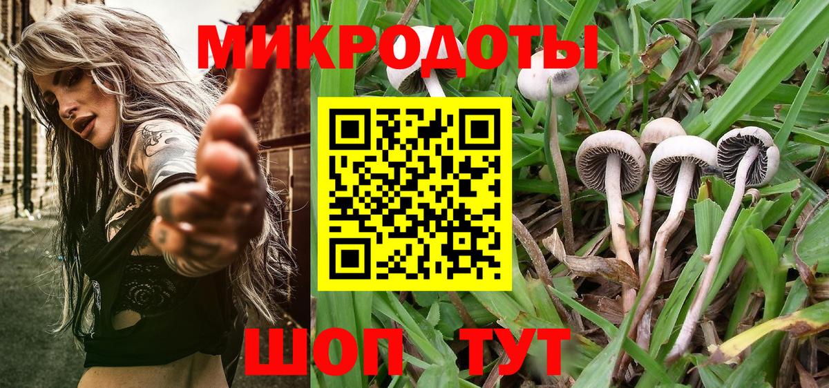 Псилоцибиновые грибы GOLDEN TEACHER  Вход с VPN  Протвино 
